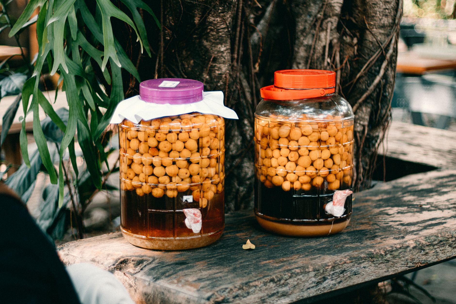 Outils pour préparer des aliments fermentés maison : bocaux, poids en verre et pilon